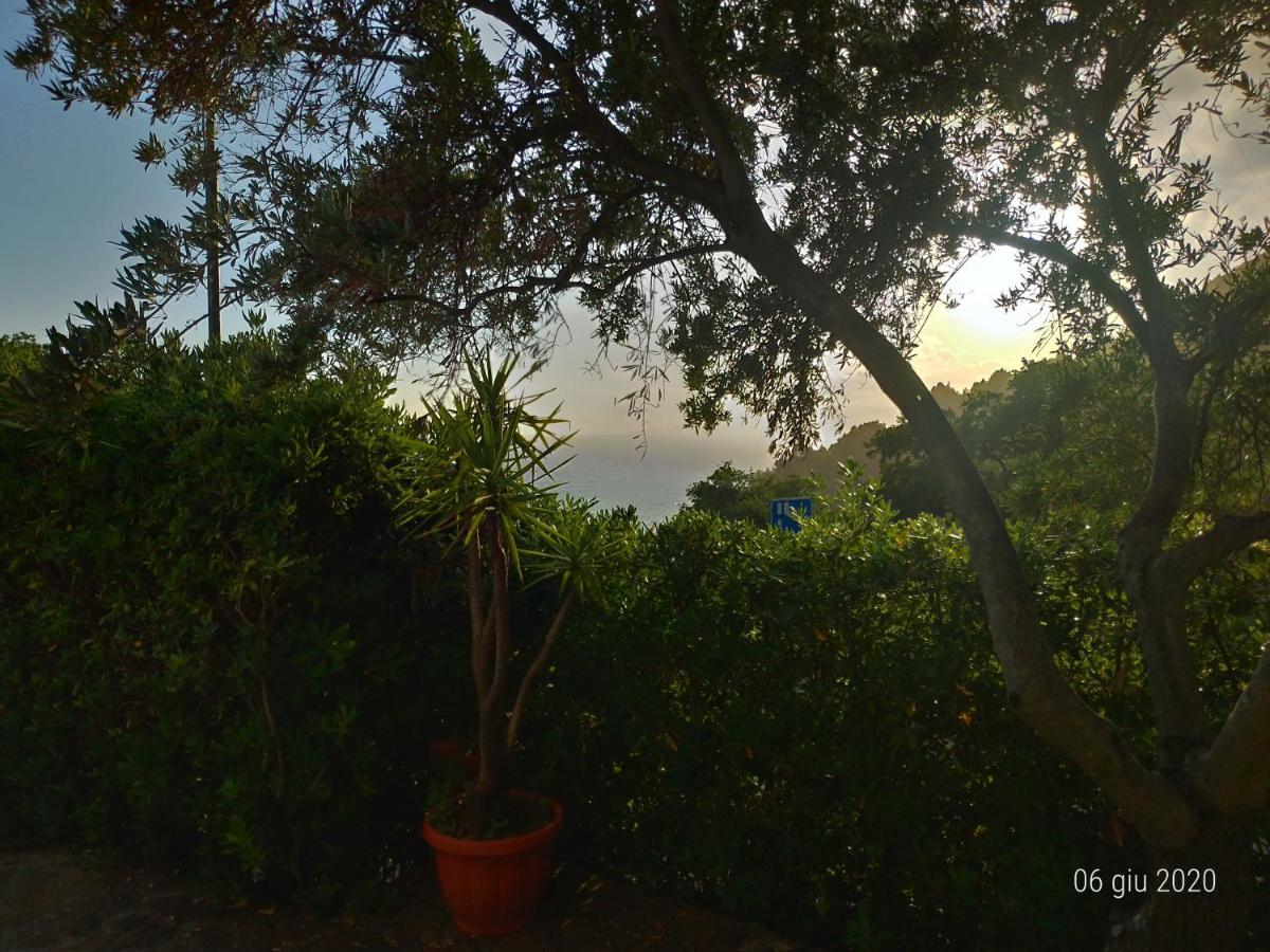 Bed & Breakfast Laino Maratea Exterior foto